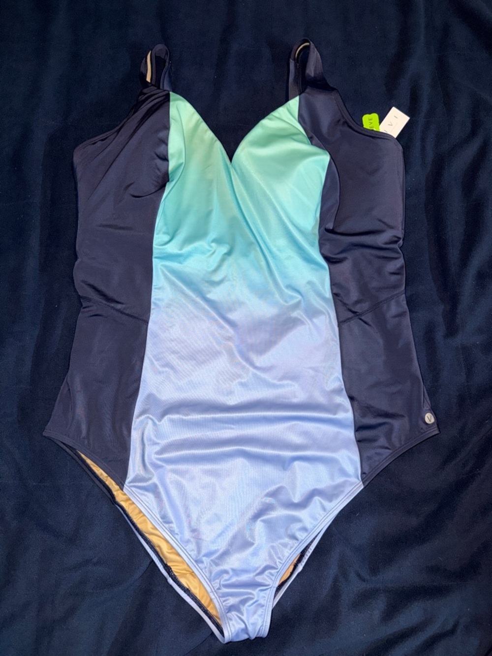 Livi Active Navy with Gradient Ombre One-Piece Swimsuit